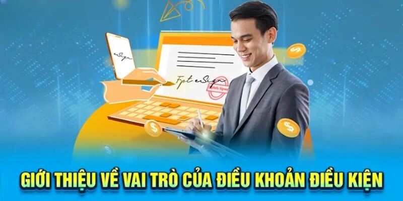 Điều khoản có vai trò quan trọng trong nền tảng giải trí trực tuyến